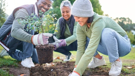 smiling volunteers planting a tree for earth day